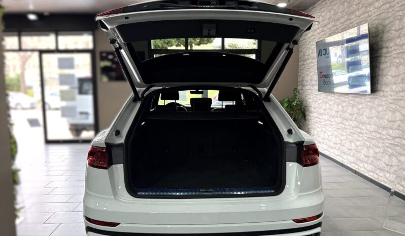 AUDI Q8 50 TDI 286 CV Quattro Tiptronic Sport pieno